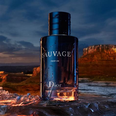 dior sauvage parfum spray men reviews|eau sauvage for men 100ml.